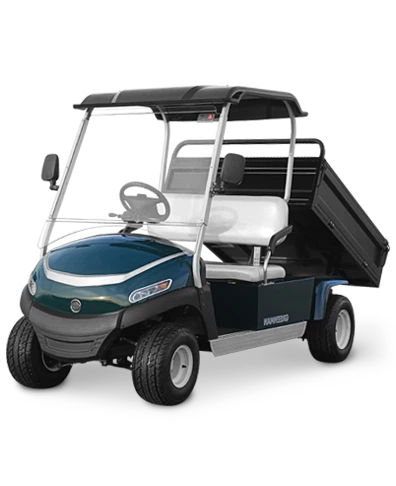 Φορητό ηλεκτρικό καλάθι γκολφ